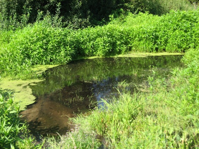 Поездка на Тамбовщину