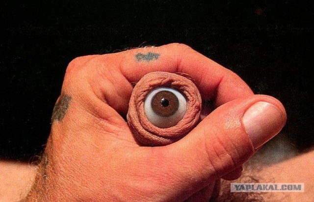 Елена Мизулина намерена запретить...