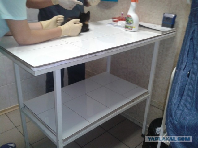 История одного "почти спасения".