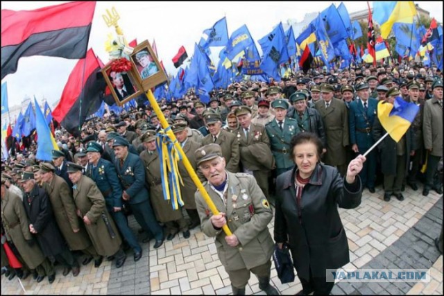 Путин просит перенести голосование 11 мая.