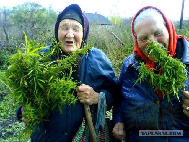 Всем зеленки!