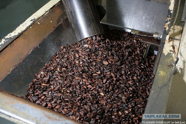 Так делается шоколад. Россия - щедрая душа!