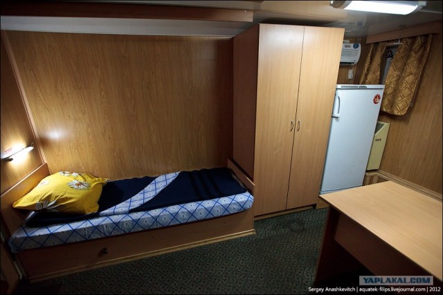 "Цезарь Куников"