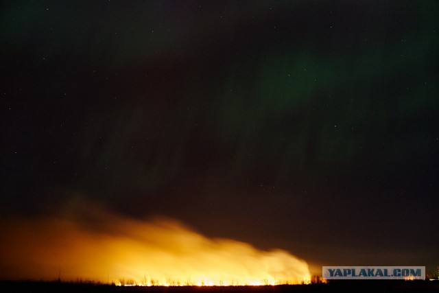 На Солнце творится какой-то караул!