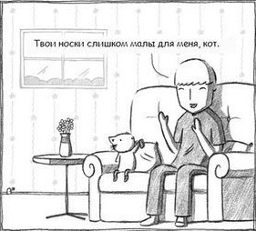 Коты они такие