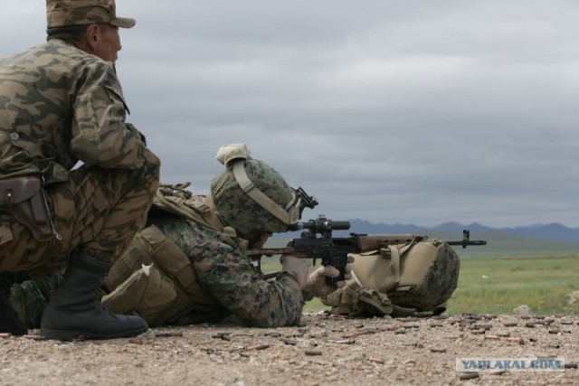 Лучший новогодний подарок для американца