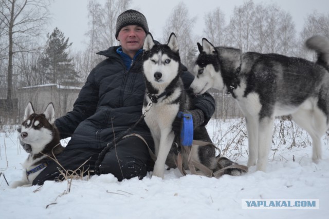 ЧудоХась
