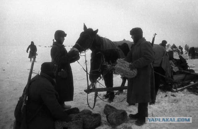 Мода Вермахта зимы 1941 - 1942 года
