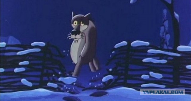 Он не похож на обычных собак, но все еще очаровывает каждого встречного