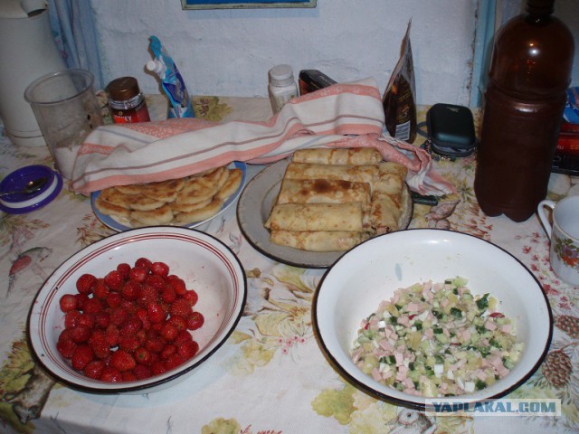 Хорошо в деревне. Вот прям хорошо