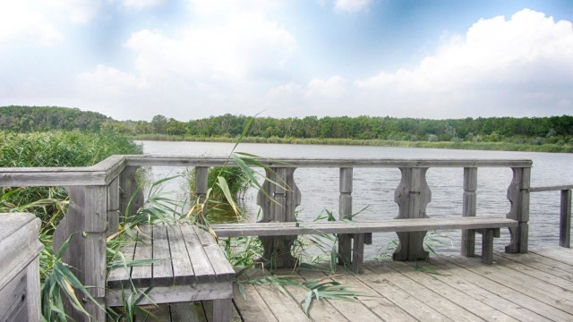 Я узнал, что у меня есть огромная семья