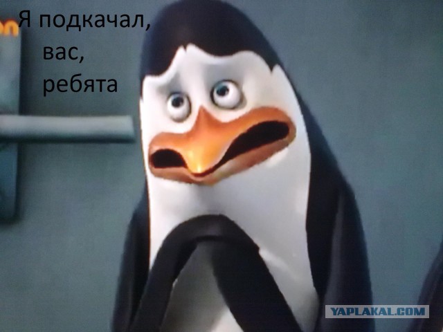 Забавные моменты на ТВ