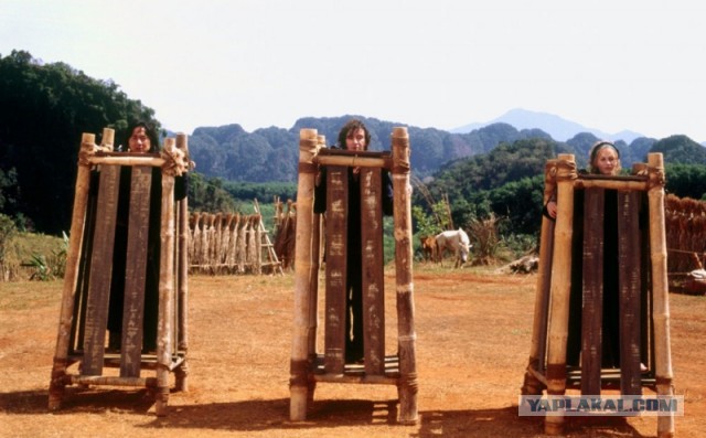 Это Китай, детка!