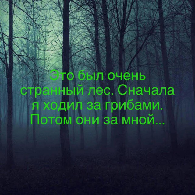 Подборка интересных и смешных картинок