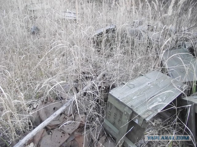Дальневосточный гектар.  3-я  попытка.
