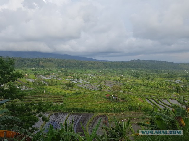 Бали и Комодо — еще одно путешествие в Индонезию