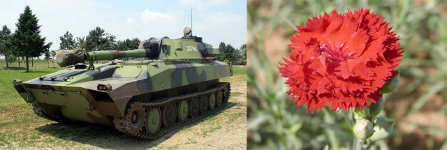 Автомата ннннада?