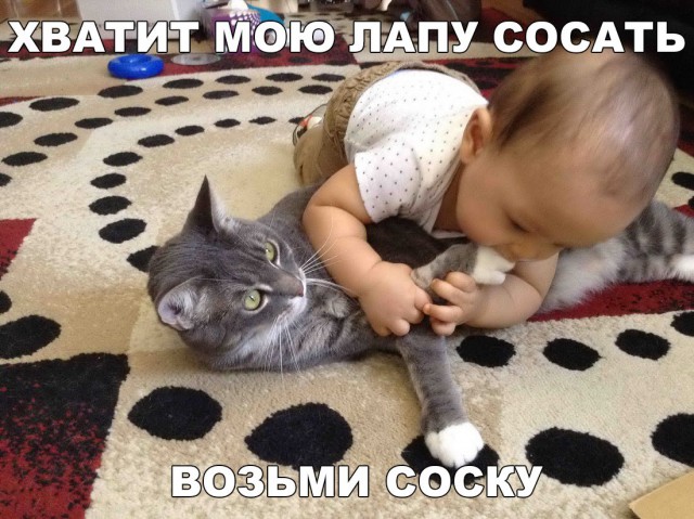 Подборка безудержного веселья