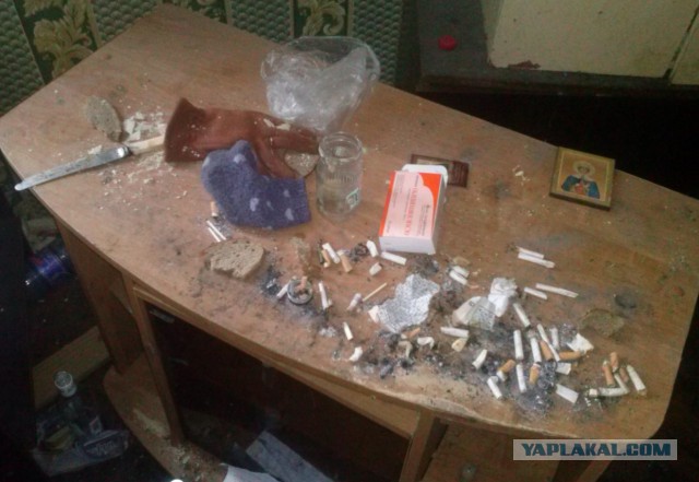 Приют для бомжей в однокомнатной квартире