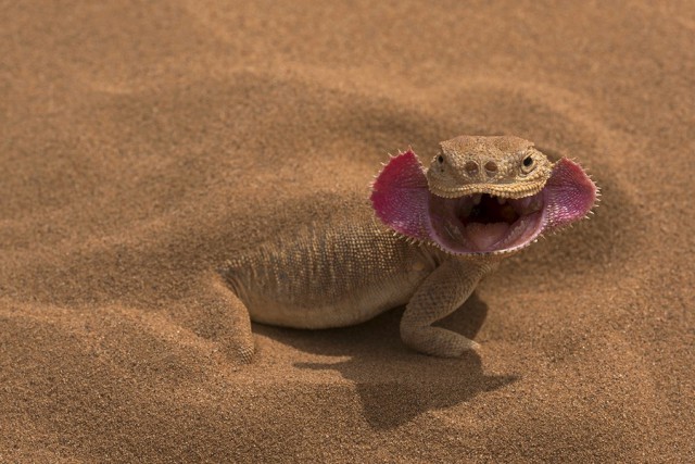 Подборка интересных и веселых картинок