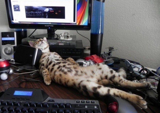 Подборка интересных и веселых картинок