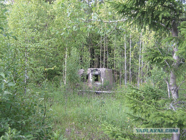 Осколки страны