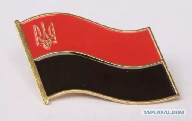 Мнение граждан Донецка о безвизе