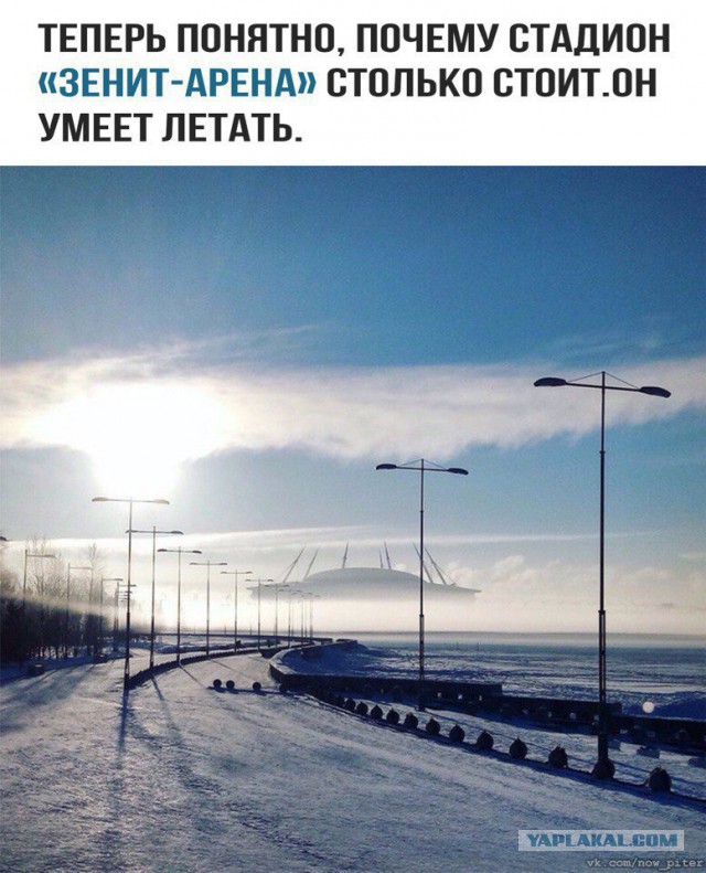 Беседка ФиС ЯПа 5