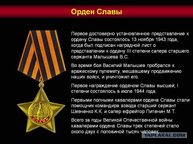Невзоров беснуется