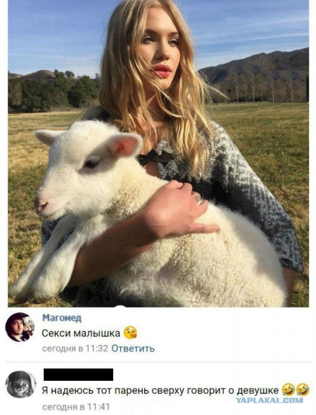 Принцип сосиски