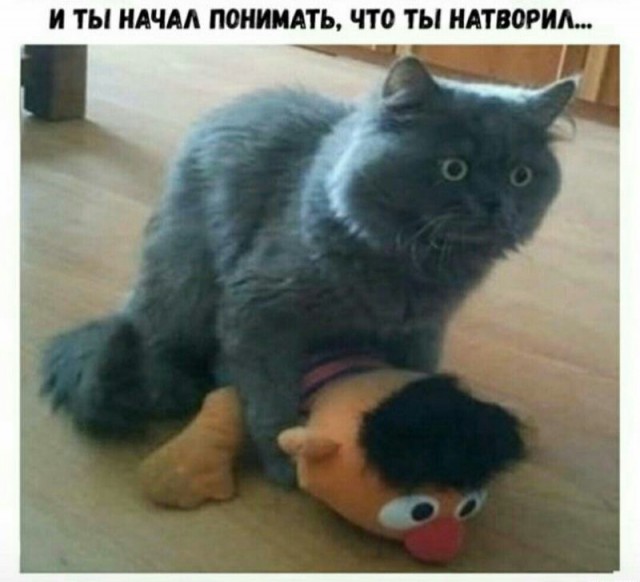 Нестандартный юмор