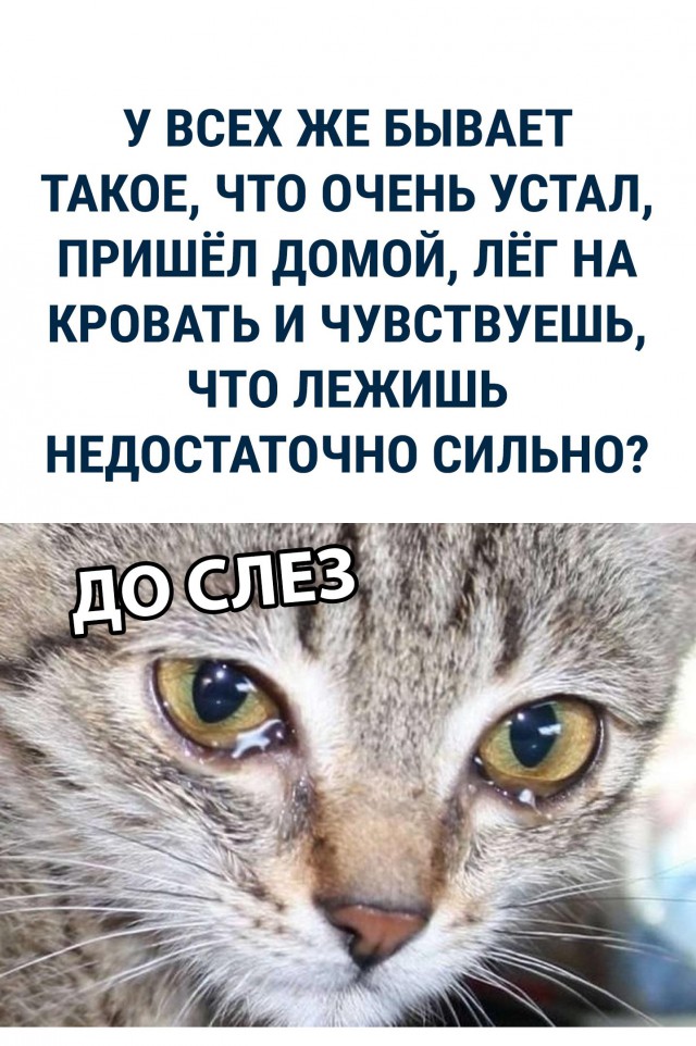 Немного картинок на сегодня