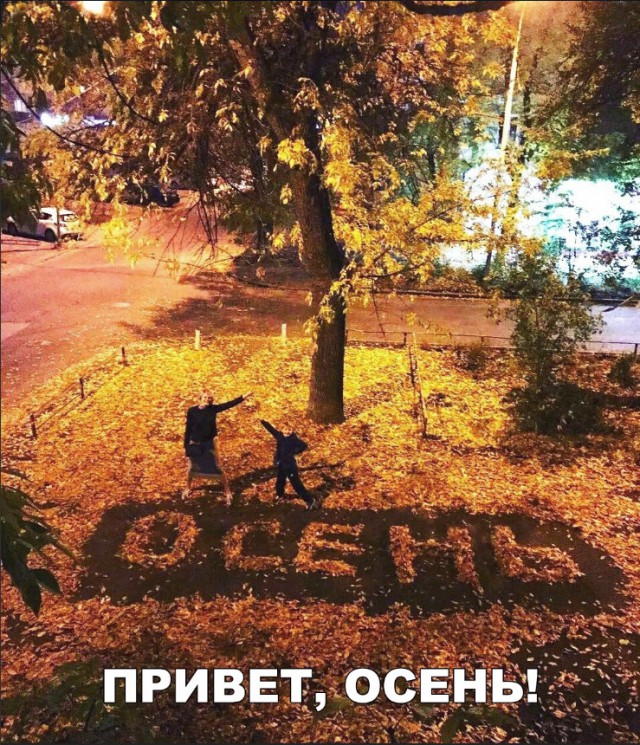 Подборка интересных и веселых картинок 31.08.18