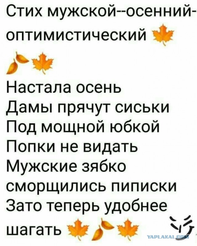 Картинки юморные и тексты