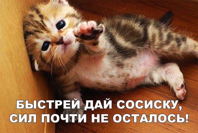 Немного милоты