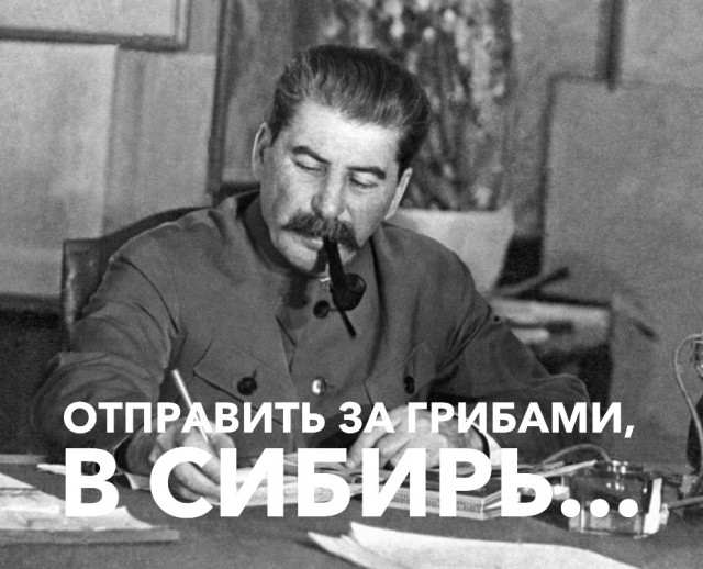 Пашкет, демотиваторы и мемы
