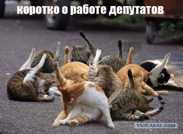 Госдума намерена создать в России зоополицию