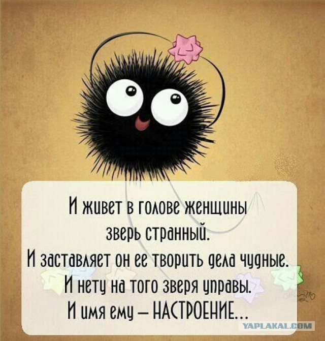 Отношения с женщиной в картинках, навеяно японскими Аниме (шутка)