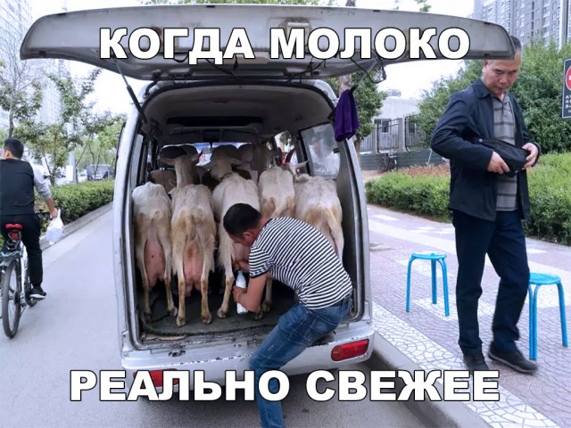 Нестандартный юмор
