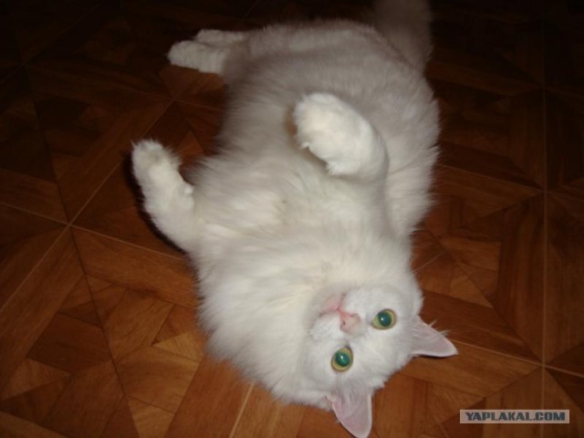 А ты готов к отпуску?