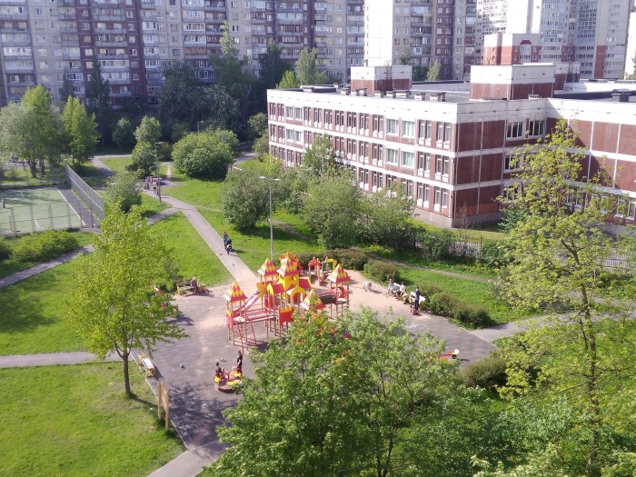 Лето, делимся видом из окна