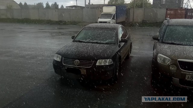 Лето, делимся видом из окна
