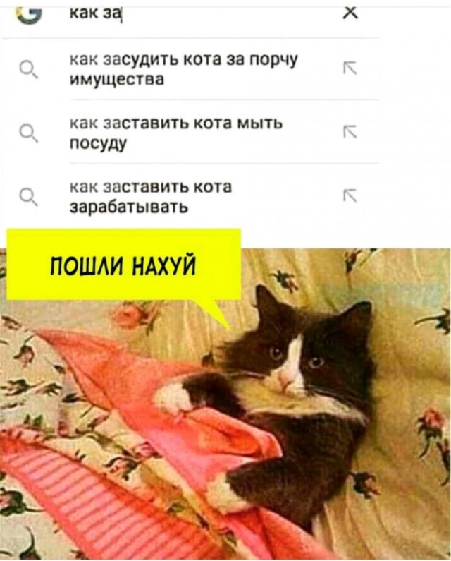 Немного картинок с надписями и без - 17