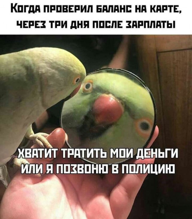 Громкие заявления