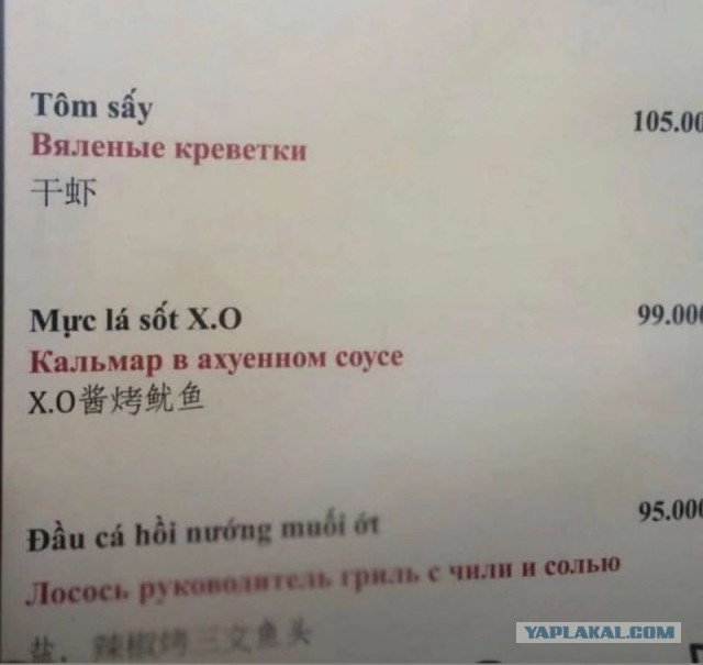 Перлы 16.12.19