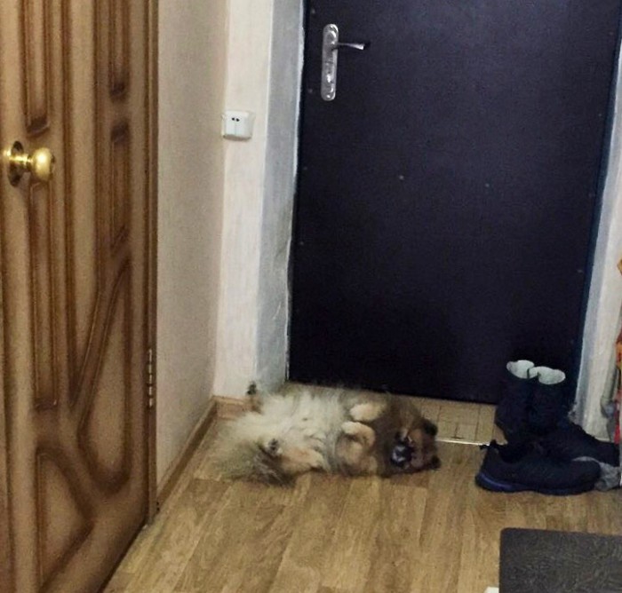 Чудище
