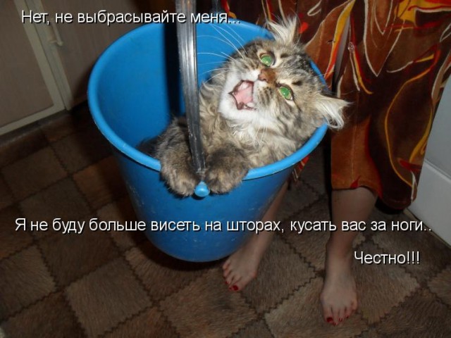 Живность из сети