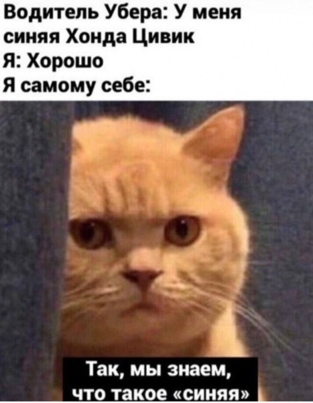 Бредзона 19.03.2020