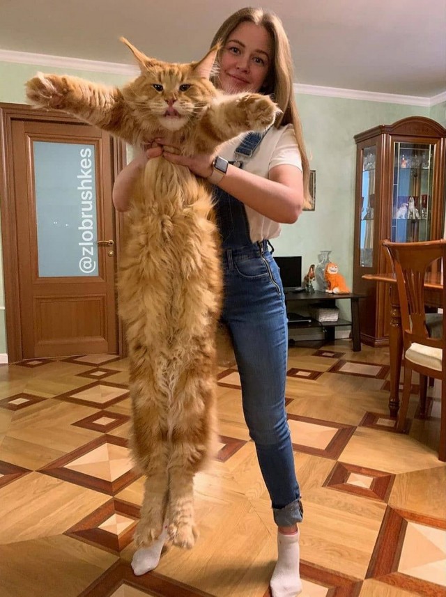 Живность 15.03.20