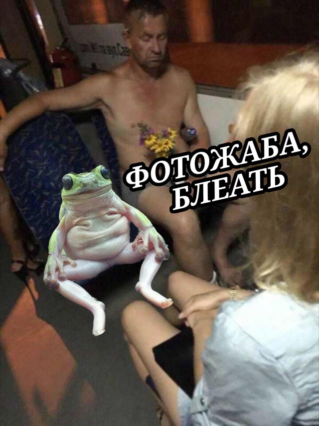 "Невозмутимая пассажирка"